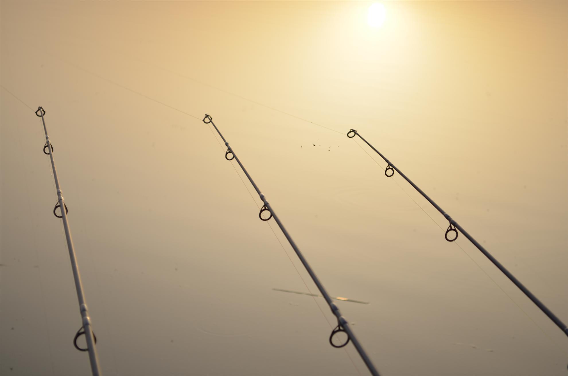 sisterea - dsc0533.JPG